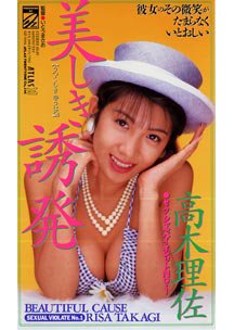  発売　美しき誘惑　高木理佐